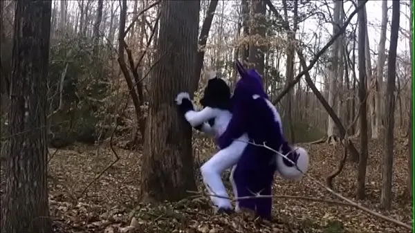 新Fursuit Couple Mating in Woods酷視頻